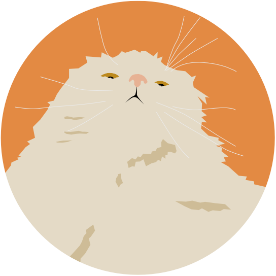 cat4